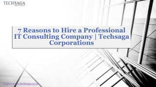 7 Reasons to Hire a Professional IT Consulting Company | Techsaga Corporations