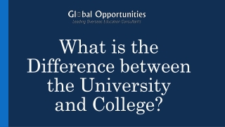 What is the Difference between the University and College