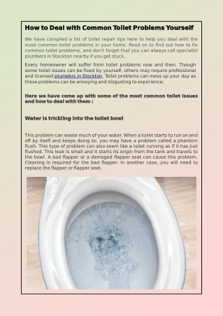 How to Deal with Common Toilet Problems Yourself