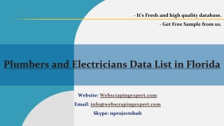 Plumbers and Electricians Data List in Florida