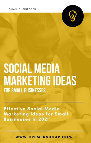 Effective Social Media Marketing Ideas for Small Businesses in 2021