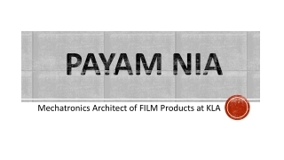 Payam Nia - Possesses Exceptional Problem-solving Skills