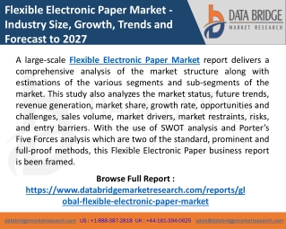Flexible Electronic Paper Market Revenue, Trends Analysis, Emerging Technologies