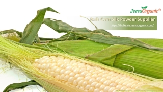 Corn Silk Powder Supplier | Bulk Corn Silk Powder Supplier