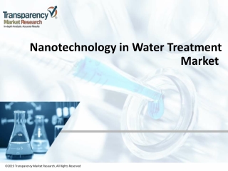Nanotechnology in Water Treatment Market 