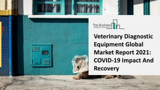 Veterinary Diagnostic Equipment Market Growth Analysis through 2030