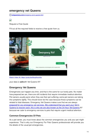 Emergency Vet Queens