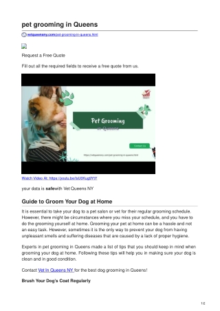 Pet Grooming In Queens