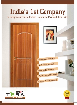 Action TESA Door Skins