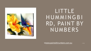 LITTLE HUMMINGBIRD, PAINT BY NUMBERS