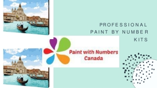 PROFESSIONAL PAINT BY NUMBER KITS