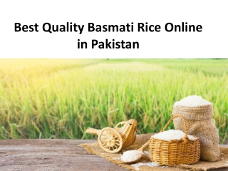 Best Quality Basmati Rice Online in Pakistan