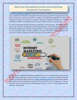 What to see when opting for the Best Internet Marketing Consultant for Your Business