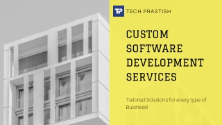 Custom Software Development Services by Tech Prastish