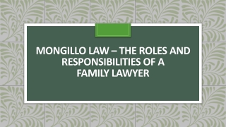 Mongillo Law – The Roles and Responsibilities of a Family Lawyer