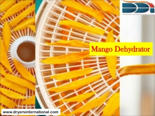 Mango Dehydrator