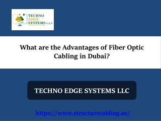 What are the Advantages of Fiber Optic Cabling in Dubai?