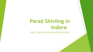 Parad Shivling in Indore