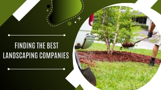 Finding the Best Landscaping Companies