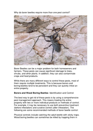 Why do borer beetles require more than one pest co-converted