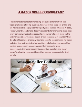 Amazon Seller Consultant