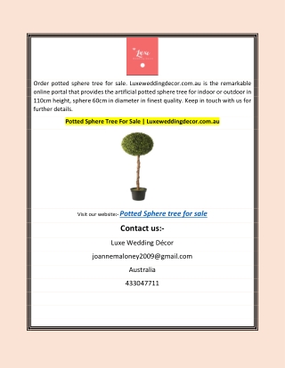 Potted Sphere Tree For Sale | Luxeweddingdecor.com.au