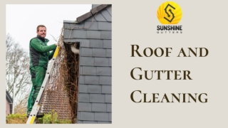 Roof and Gutter Cleaning