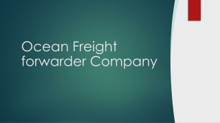 Ocean Freight Forwarder Company