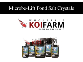 Microbe-Lift Pond Salt Crystals