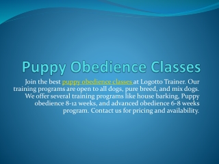 Puppy Obedience Classes