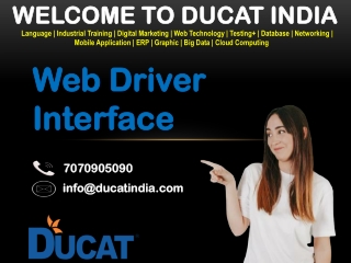 web driver interface