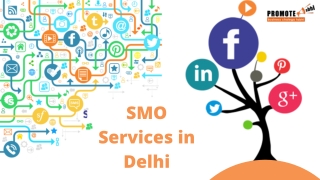 SMO Services in Delhi