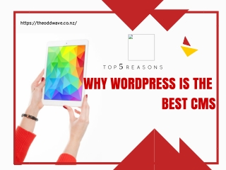Top 5 reasons why WordPress is the best CMS