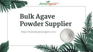 Best Agave Powder Supplier | Bulk Agave Powder Supplier