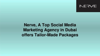 Nerve, A Top Social Media Marketing Agency in Dubai offers Tailor-Made Packages