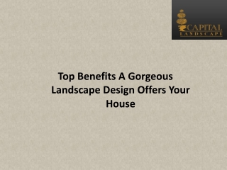 Top Benefits A Gorgeous Landscape Design Offers Your House