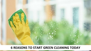 6 Reasons To Start Green Cleaning Today