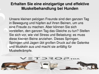 Erhalten Sie eine einzigartige und effektive Muskelbehandlung bei Hunden