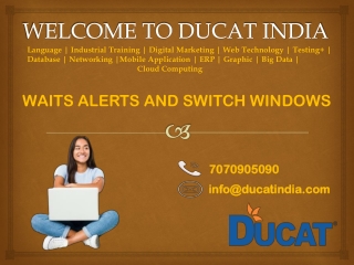 WAITS ALERTS AND SWITCH WINDOWS