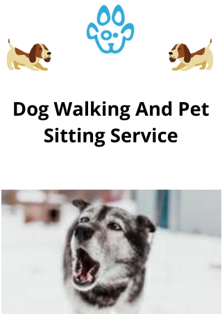 Dog Walking And Pet Sitting Service