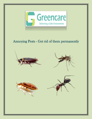 Annoying Pests - Get rid of them permanently