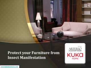 Protect your Furniture from Insect Manifestation