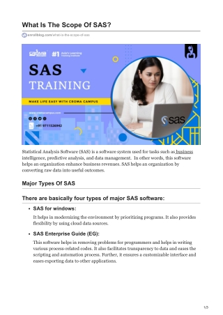 What Is The Scope Of SAS?