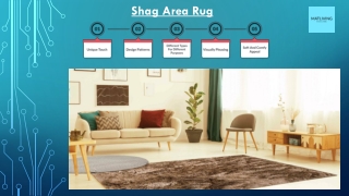 Different Types Shag Area Rug