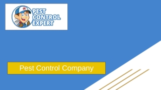 Best Pest Management Services - Pest Control Expert