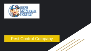 Pest Control Company - Pest Control Expert