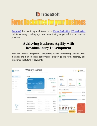 Forex Backoffice for your Business
