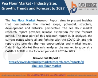 Pea Flour Market Industry Insight by Size, Trends, Statistics, Share, Strategies
