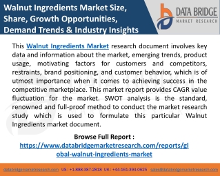 Walnut Ingredients Market Global Analysis by Size, Share, Demand, Trends