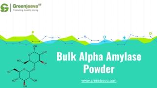 Alpha Amylase Powder Supplier | Bulk Alpha Amylase Powder